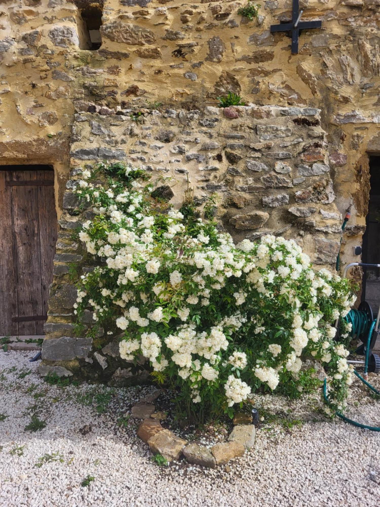 PougnadoresseBastide De La Madeleine住宿加早餐旅馆 外观 照片